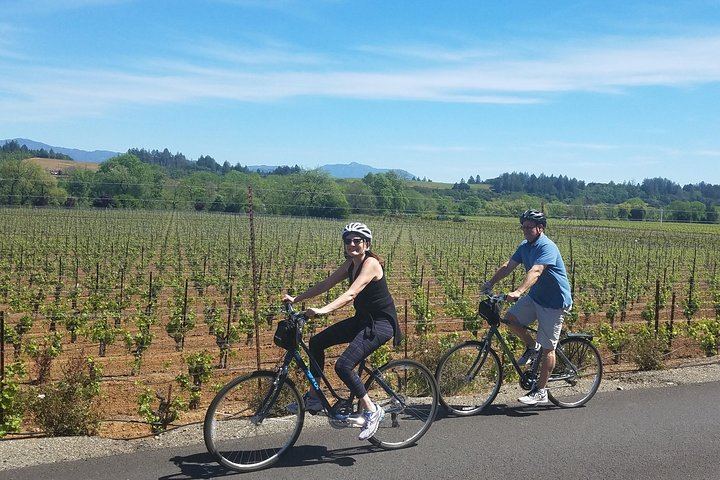 Sonoma Valley Pedal-Assist Bike Tour: Two Wineries, Picnic Lunch, Vella Cheese (3/11)