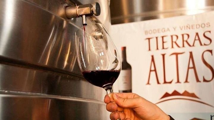 Malbec Experience at Bodega Tierras Altas, Luján de Cuyo: Vineyards and Barrel Tasting (3/5)