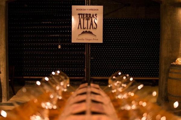 Malbec Experience at Bodega Tierras Altas, Luján de Cuyo: Vineyards and Barrel Tasting