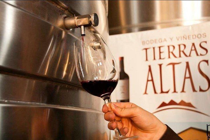 Malbec Experience at Bodega Tierras Altas, Luján de Cuyo: Vineyards and Barrel Tasting (3/5)