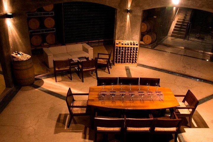 Malbec Experience at Bodega Tierras Altas, Luján de Cuyo: Vineyards and Barrel Tasting (4/5)