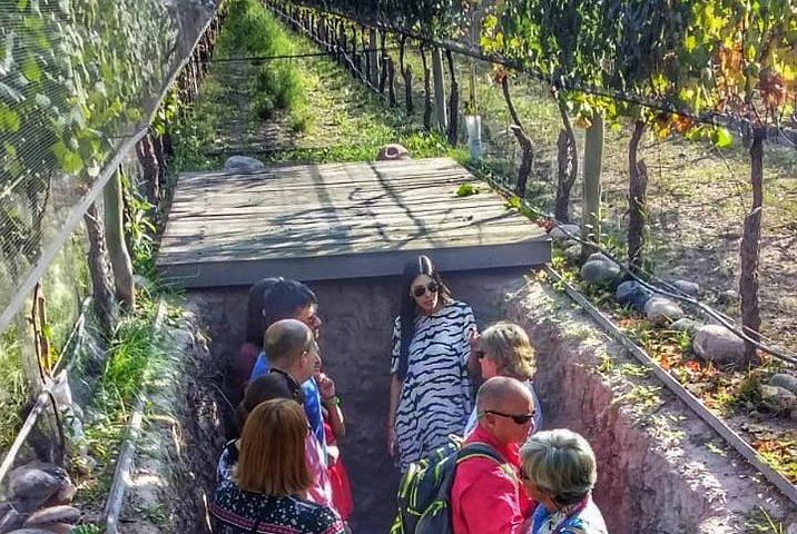 Private 4x4 Uco Valley Wine and Mountain Day via Potrerillos Dam and Bousquet Lunch (9/12)