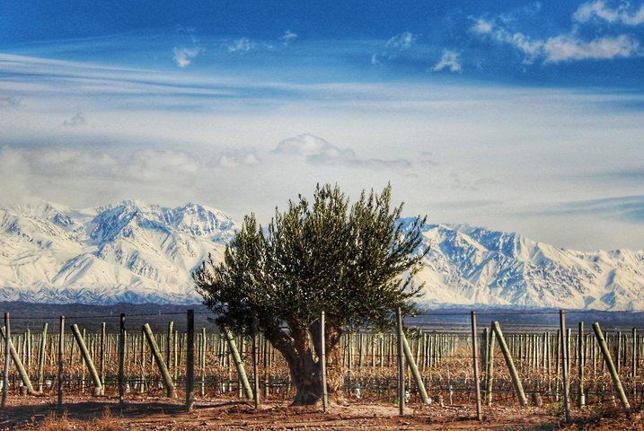 Private 4x4 Uco Valley Wine and Mountain Day via Potrerillos Dam and Bousquet Lunch (7/12)