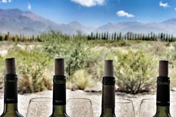 Private 4x4 Uco Valley Wine and Mountain Day via Potrerillos Dam and Bousquet Lunch (10/12)