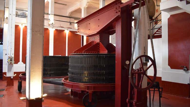 Bodegas Manzanos Haro Tour: Vertical Winery, 15th-Century Crypt and Five Wines (4/12)