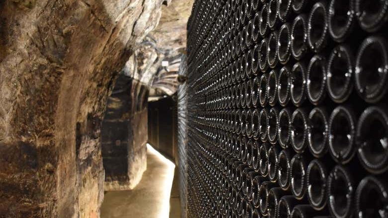 Bodegas Manzanos Haro Tour: Vertical Winery, 15th-Century Crypt and Five Wines (3/12)