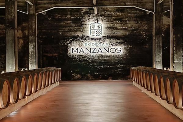 Bodegas Manzanos Haro Tour: Vertical Winery, 15th-Century Crypt and Five Wines
