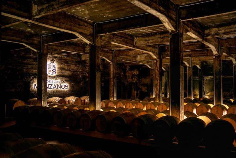 Bodegas Manzanos Haro Tour: Vertical Winery, 15th-Century Crypt and Five Wines (11/12)