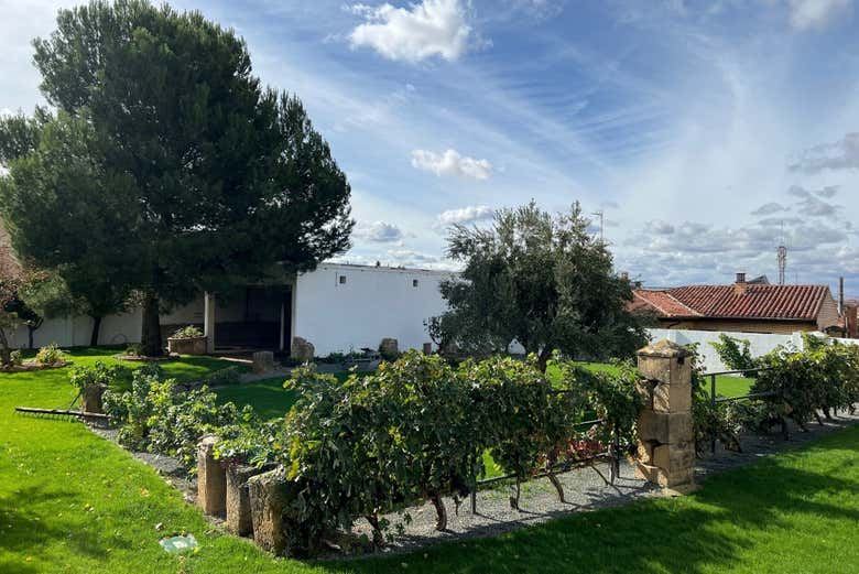 Bodegas Manzanos Haro Tour: Vertical Winery, 15th-Century Crypt and Five Wines (12/12)