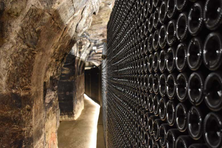 Bodegas Manzanos Haro Tour: Vertical Winery, 15th-Century Crypt and Five Wines (3/12)