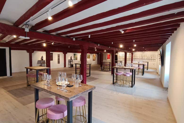 Bodegas Manzanos Haro Tour: Vertical Winery, 15th-Century Crypt and Five Wines (6/12)