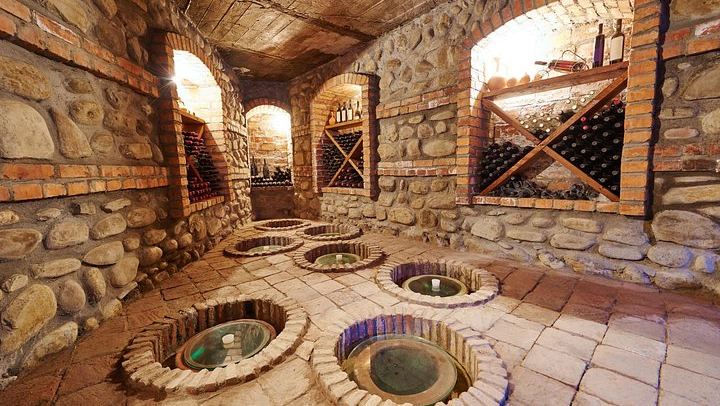 Organic Wine Tour of Kakheti: Qvevri Maker, Mosmieri Lunch and Ruispiri Biodynamic Winery (2/3)