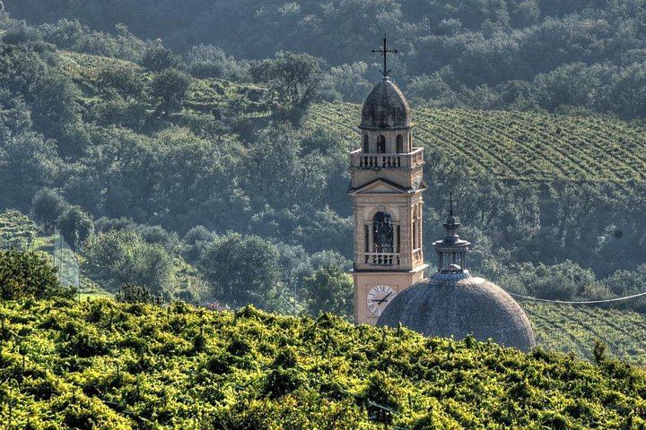 Valpolicella E-Bike Tour with Winemaker Nicola and Amarone Tasting, Santa Maria Valverde (2/12)