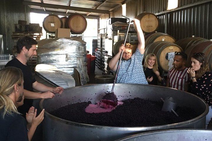 Margaret River Wine Blending Tour: Three Boutique Wineries, Lunch and Micro-Brewery (8/10)