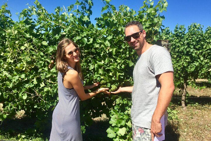 Margaret River Wine Blending Tour: Three Boutique Wineries, Lunch and Micro-Brewery (3/10)