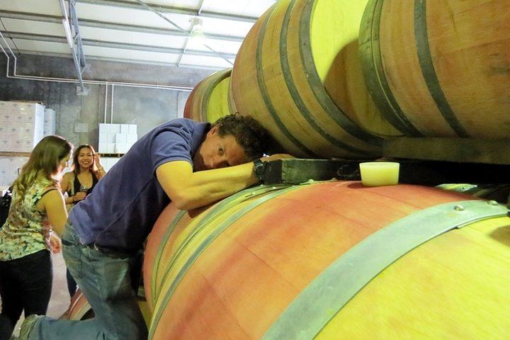 Margaret River Wine Blending Tour: Three Boutique Wineries, Lunch and Micro-Brewery (6/10)
