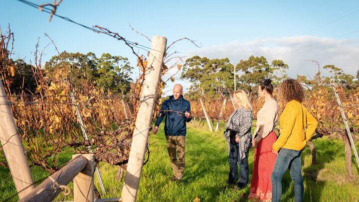 Margaret River Small-Group Tour: Coffee Roastery, Two Boutique Wineries, Boranup Forest (3/12)