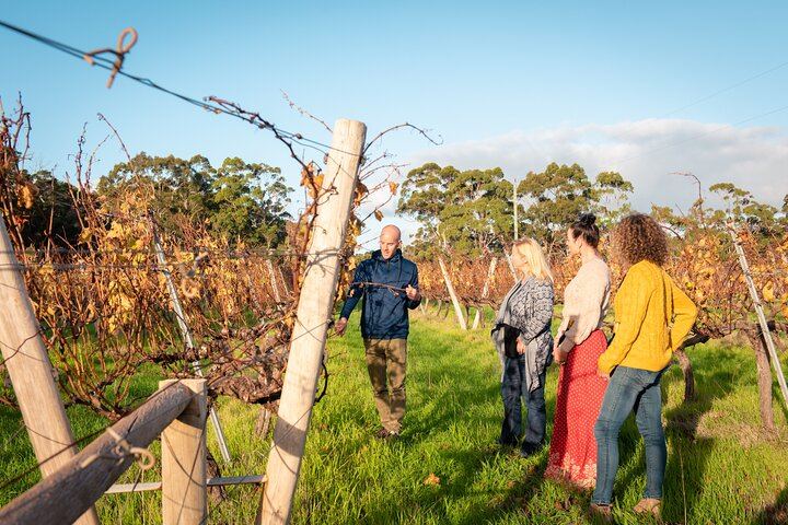 Margaret River Small-Group Tour: Coffee Roastery, Two Boutique Wineries, Boranup Forest (3/12)