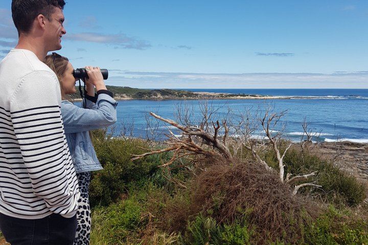 Margaret River Small-Group Tour: Coffee Roastery, Two Boutique Wineries, Boranup Forest (12/12)