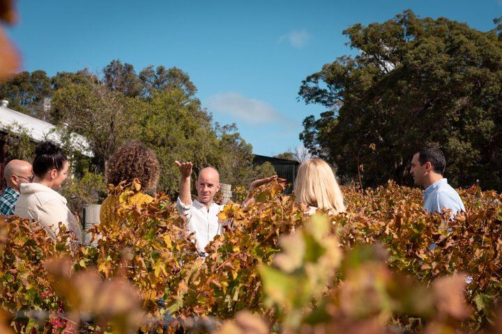 Margaret River Small-Group Tour: Coffee Roastery, Two Boutique Wineries, Boranup Forest (6/12)