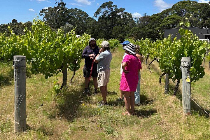 Margaret River Boutique and Established Winery Tour with À La Carte Lunch (11/12)