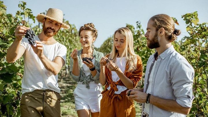 Private Full-Day Margaret River Tour: Yahava Coffee, Three Wineries, Chocolate, Beer (4/5)