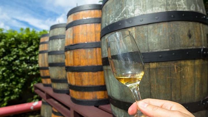 Private Full-Day Margaret River Tour: Yahava Coffee, Three Wineries, Chocolate, Beer (3/5)