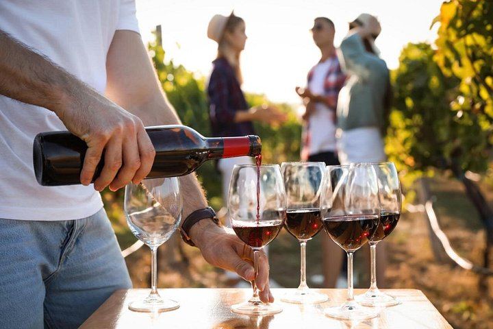 Private Full-Day Margaret River Tour: Yahava Coffee, Three Wineries, Chocolate, Beer (5/5)