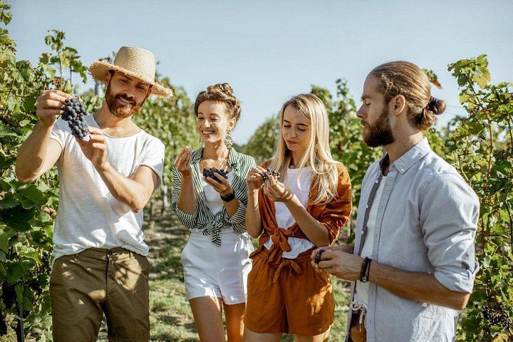 Private Full-Day Margaret River Tour: Yahava Coffee, Three Wineries, Chocolate, Beer (4/5)