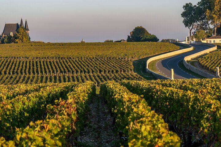 Private Half-Day Margaux and Médoc Tour in a Citroën 2CV with Two Château Tastings (6/10)