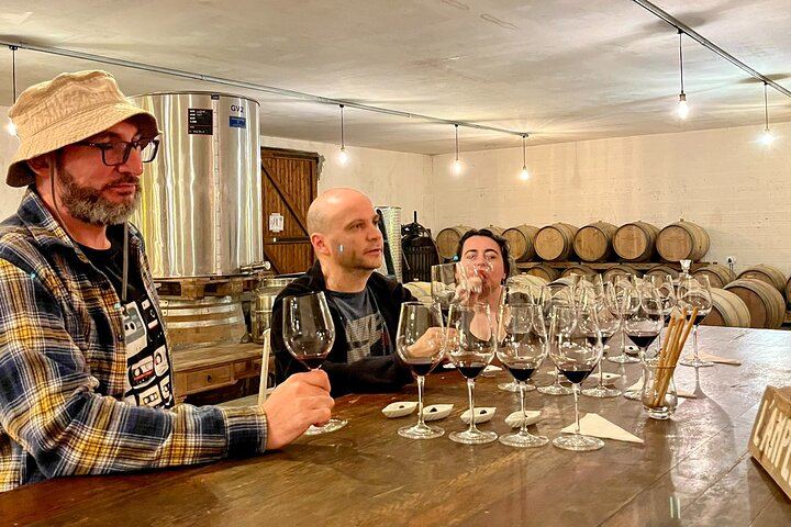 Private Half-Day Margaux and Médoc Tour in a Citroën 2CV with Two Château Tastings (4/10)