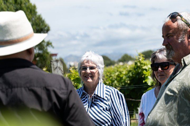 Marlborough Afternoon Wine Tour: Winery Lunch and Two Cellar Doors (5/12)