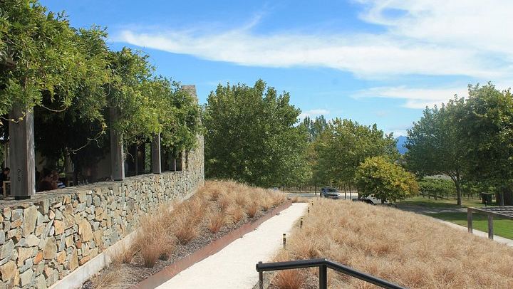 Marlborough Classic Wine Tasting Tour by 10-Seat Van, 3 or 4 Cellar Doors (4/11)