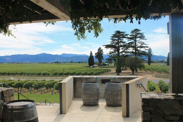 Marlborough Classic Wine Tasting Tour by 10-Seat Van, 3 or 4 Cellar Doors (5/11)