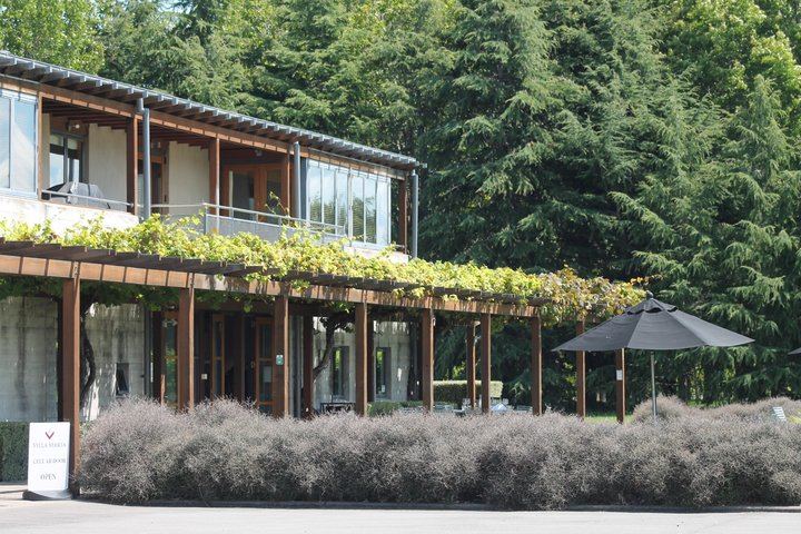 Marlborough Classic Wine Tasting Tour by 10-Seat Van, 3 or 4 Cellar Doors (10/11)