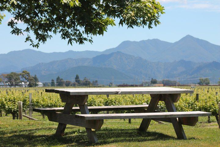 Marlborough Classic Wine Tasting Tour by 10-Seat Van, 3 or 4 Cellar Doors (9/11)