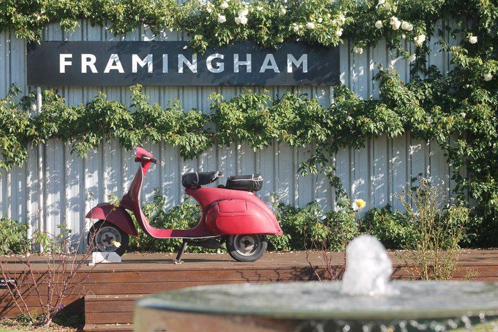 Marlborough Classic Wine Tasting Tour by 10-Seat Van, 3 or 4 Cellar Doors (8/11)