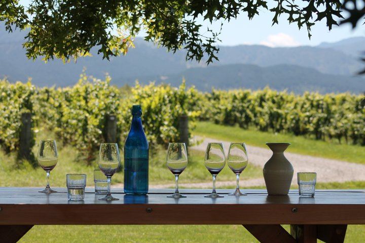 Marlborough Classic Wine Tasting Tour by 10-Seat Van, 3 or 4 Cellar Doors (7/11)