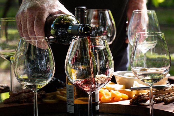 Marlborough Full-Day Wine Tour, About 6 Hours: Family-Owned and Boutique Cellars (4/12)