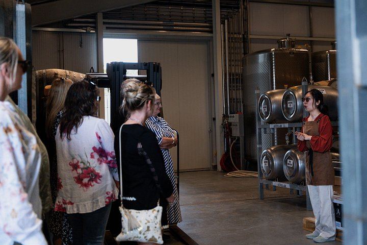 Marlborough Full-Day Wine Tour, About 6 Hours: Family-Owned and Boutique Cellars (5/12)