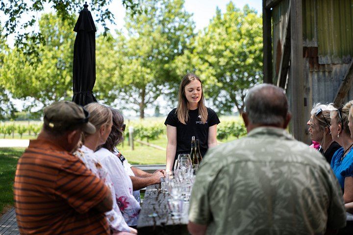 Marlborough Full-Day Wine Tour, About 6 Hours: Family-Owned and Boutique Cellars (9/12)