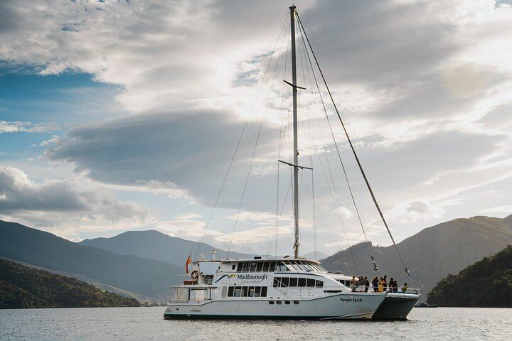 Marlborough Icons Full-Day Tour: Two Wineries and Seafood Cruise on Queen Charlotte Sound (9/10)