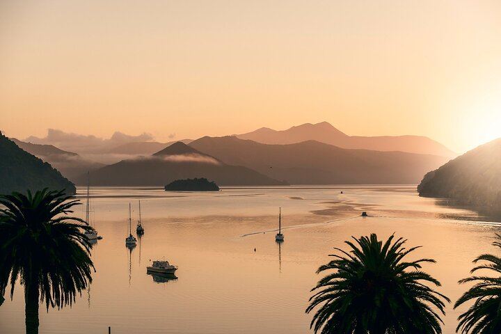 Marlborough Icons Full-Day Tour: Two Wineries and Seafood Cruise on Queen Charlotte Sound (10/10)