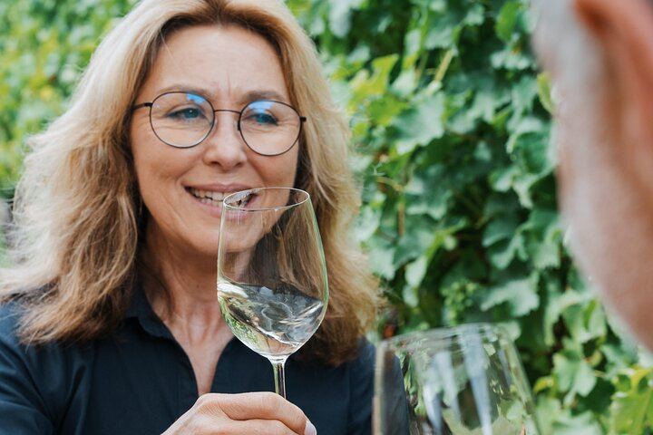 Full-Day Small-Group Marlborough Wine Tour from Blenheim with Winery Lunch (6/9)