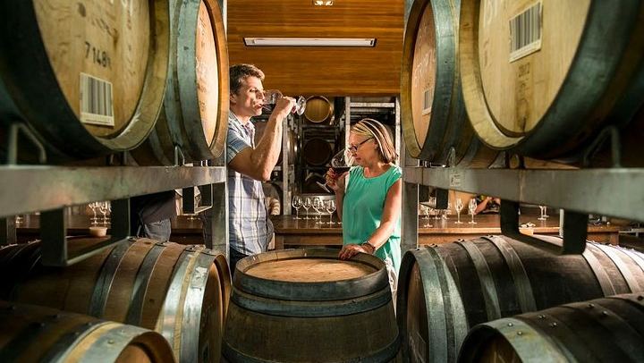 Full-Day Small-Group Marlborough Wine Tour from Blenheim with Winery Lunch (3/9)