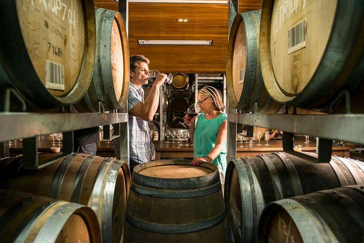 Full-Day Small-Group Marlborough Wine Tour from Blenheim with Winery Lunch (3/9)