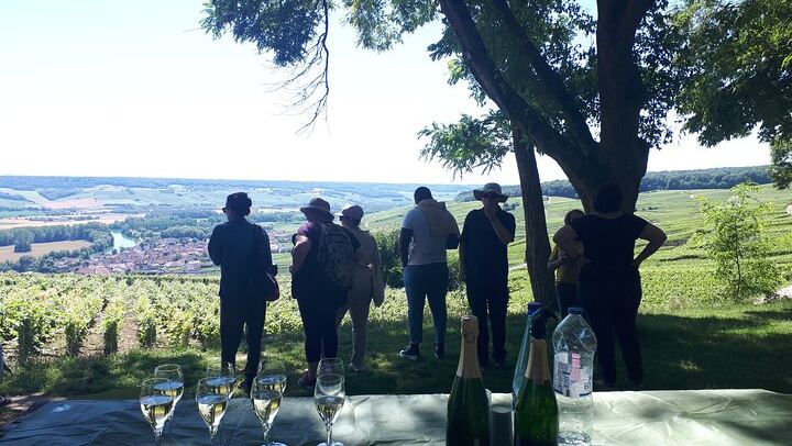 4x4 Defender Vineyard Safari near Reims with Panoramic Champagne Tasting, 2 to 8 Guests (3/12)