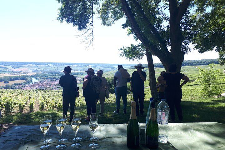 4x4 Defender Vineyard Safari near Reims with Panoramic Champagne Tasting, 2 to 8 Guests (3/12)