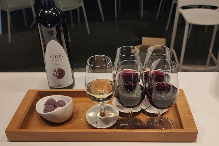 Riscal and Ysios Wine Day from San Sebastian: Full Winery Tour and Three-Course Lunch (8/12)