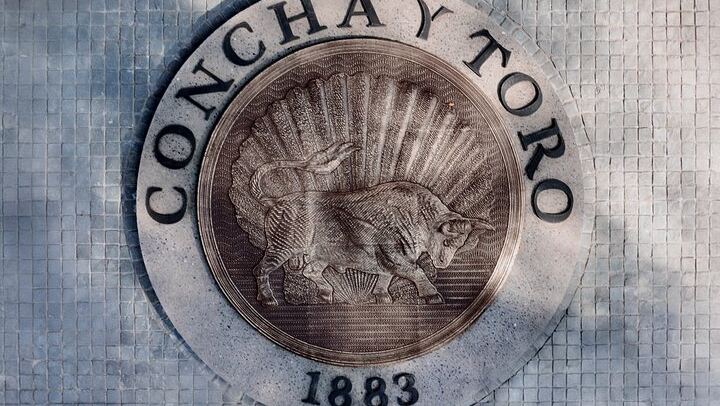 Concha y Toro Premium Wine Center Tour: Guarda del Alto and Four Premium Wines (2/11)
